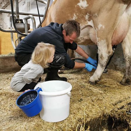 Landhaus Taurer Kals-am Großglockner Eksteriør billede