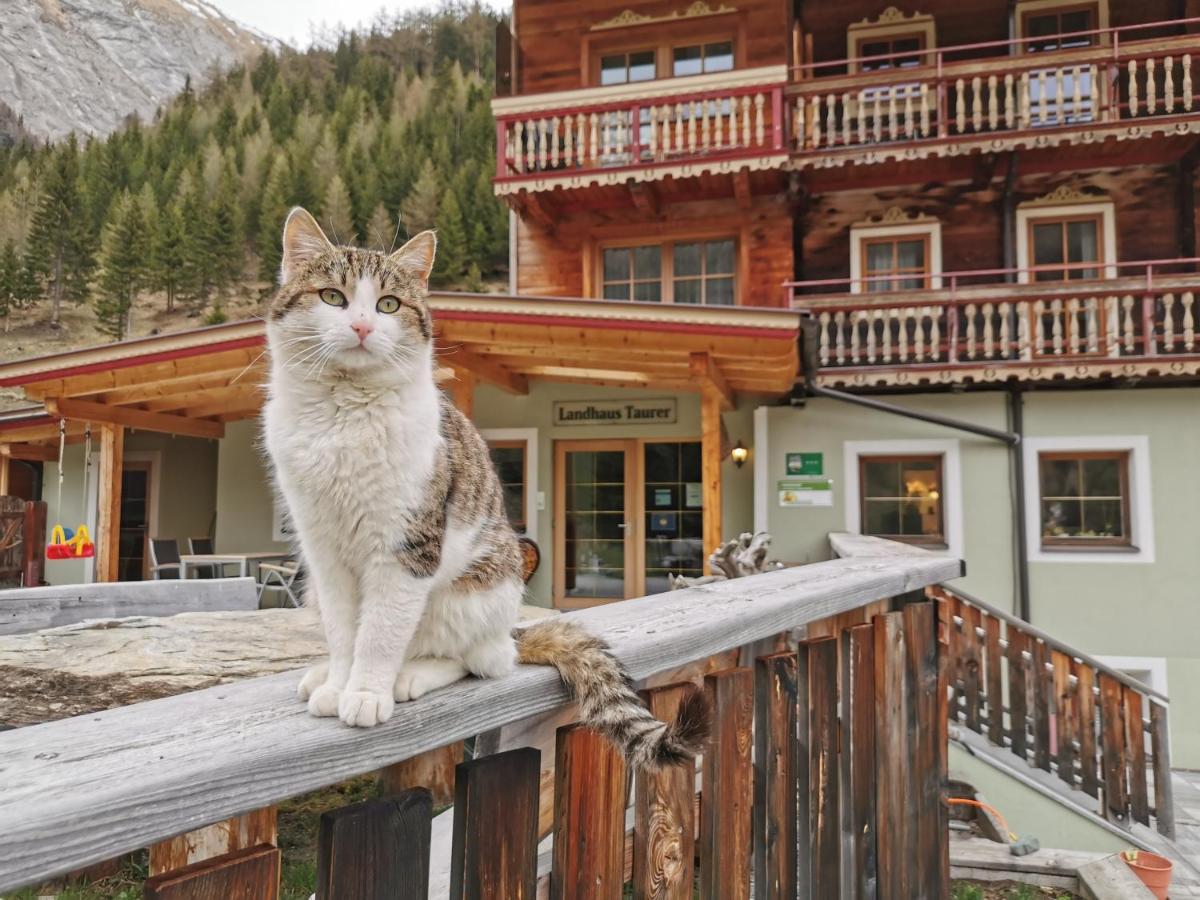 Landhaus Taurer Kals-am Großglockner Eksteriør billede