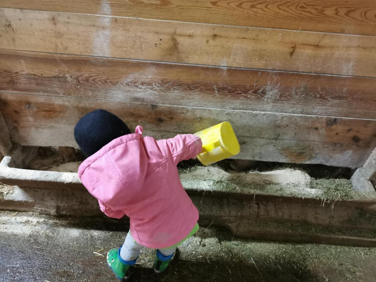 Landhaus Taurer Kals-am Großglockner Eksteriør billede