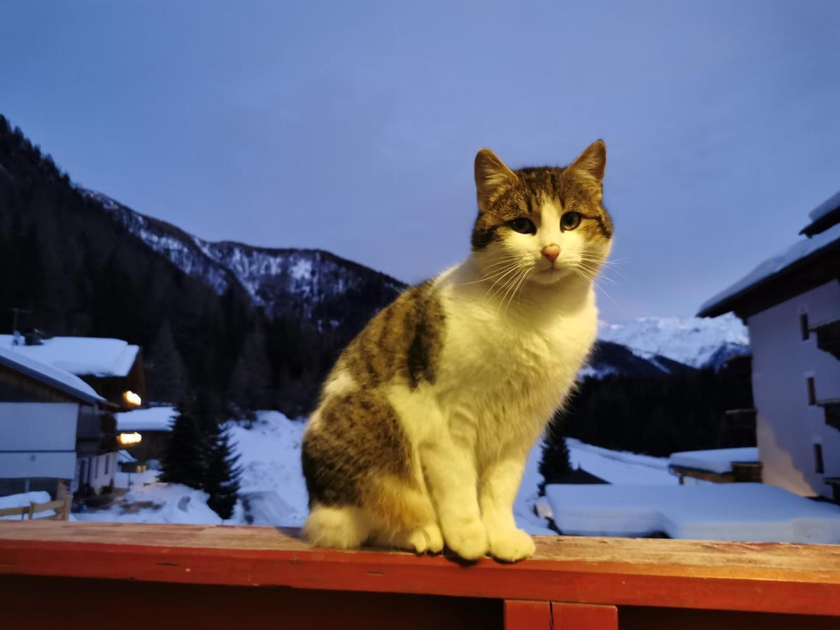 Landhaus Taurer Kals-am Großglockner Eksteriør billede