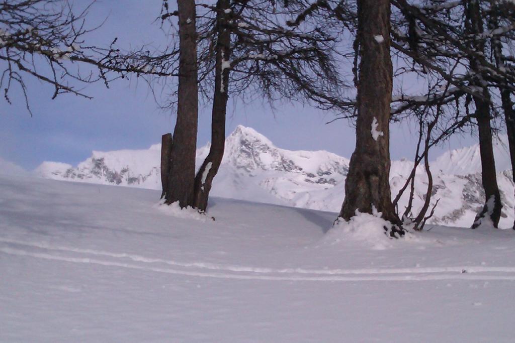 Landhaus Taurer Kals-am Großglockner Eksteriør billede